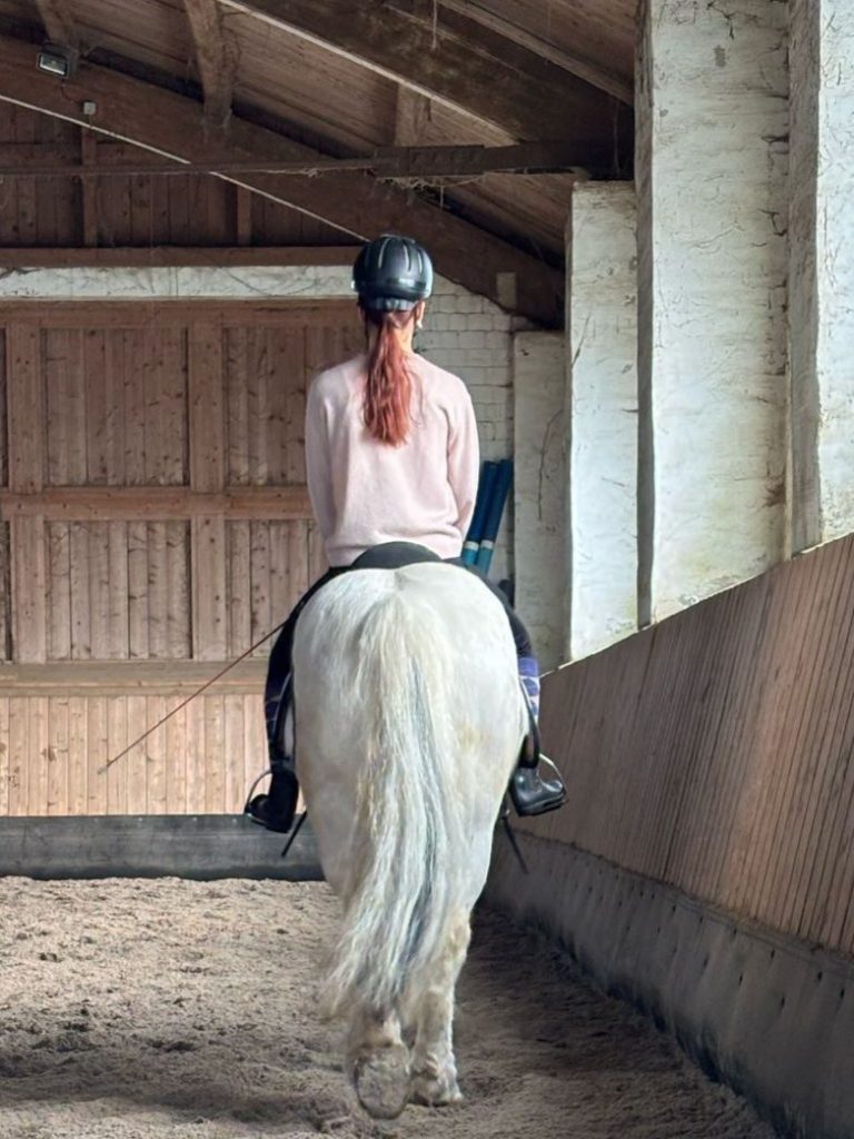 Einzelunterricht am Zauberberg in der Reitanlage Reiterin mit langer roter Haarpracht sitzt auf einem weißen Pferd in einer Reithalle.
