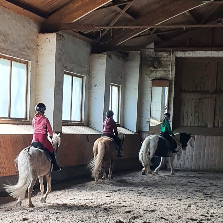 Gruppenreitunterricht | Am Zauberberg Drei Reiter auf kleinen Pferden in einer Reithalle mit Fenstern.
